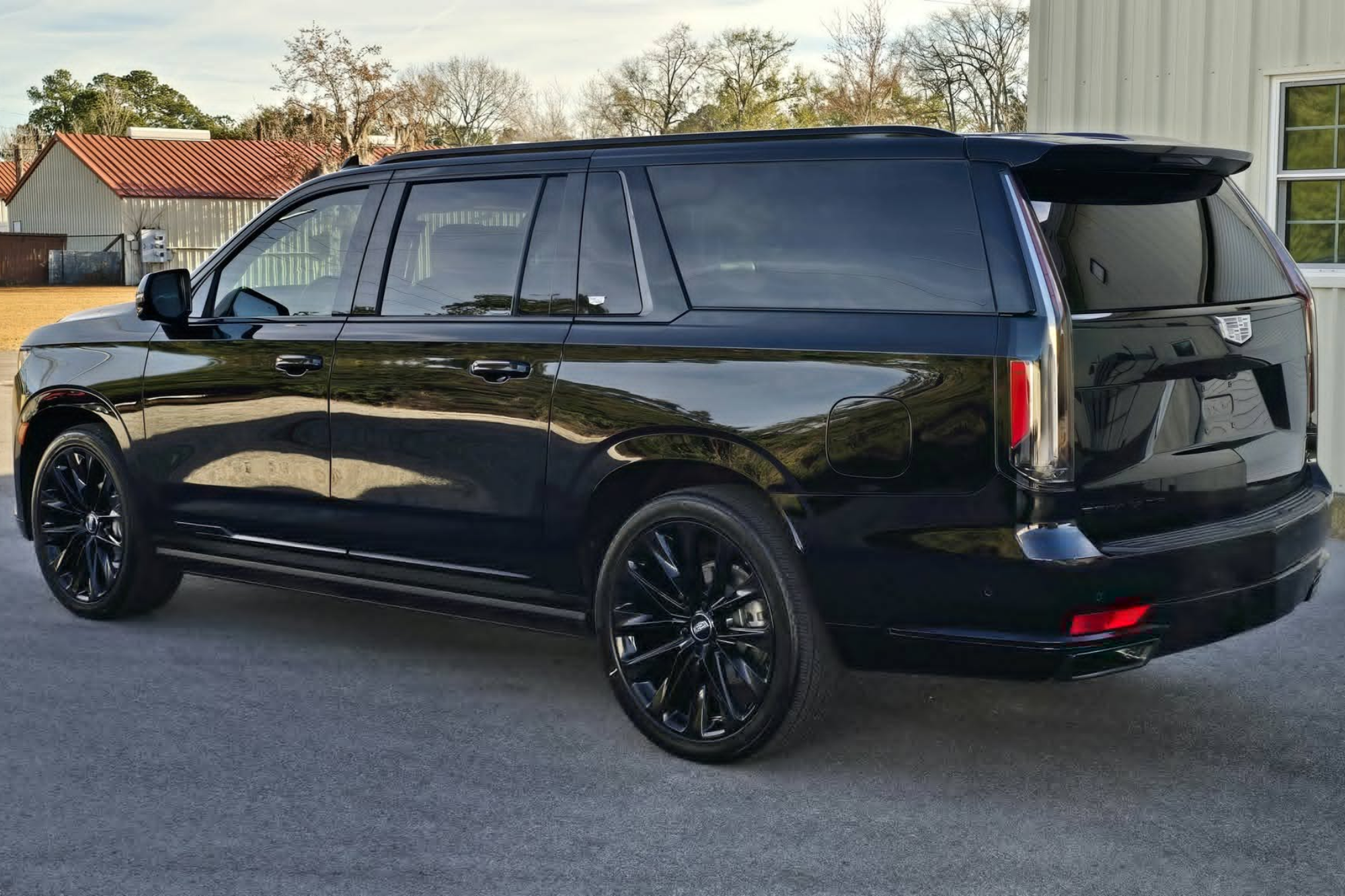 paint protection film