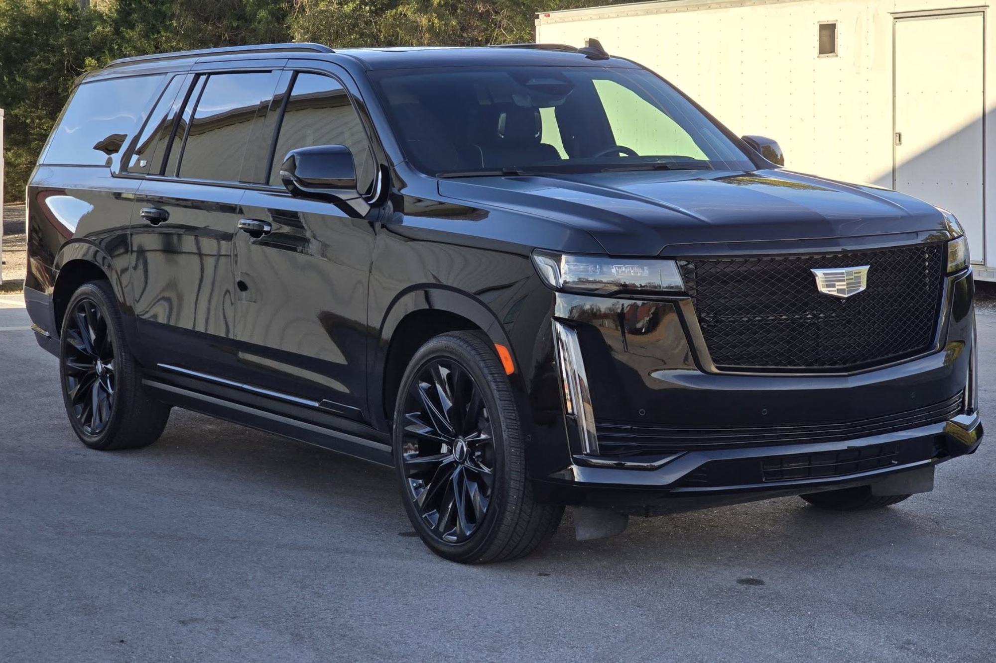 paint protection film